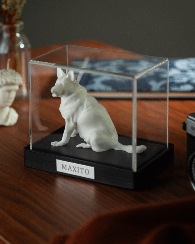 Ref. Estatuilla personalizada - Imagen 2
