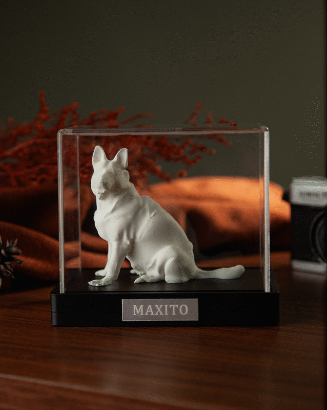 Ref. Estatuilla personalizada - Imagen 3