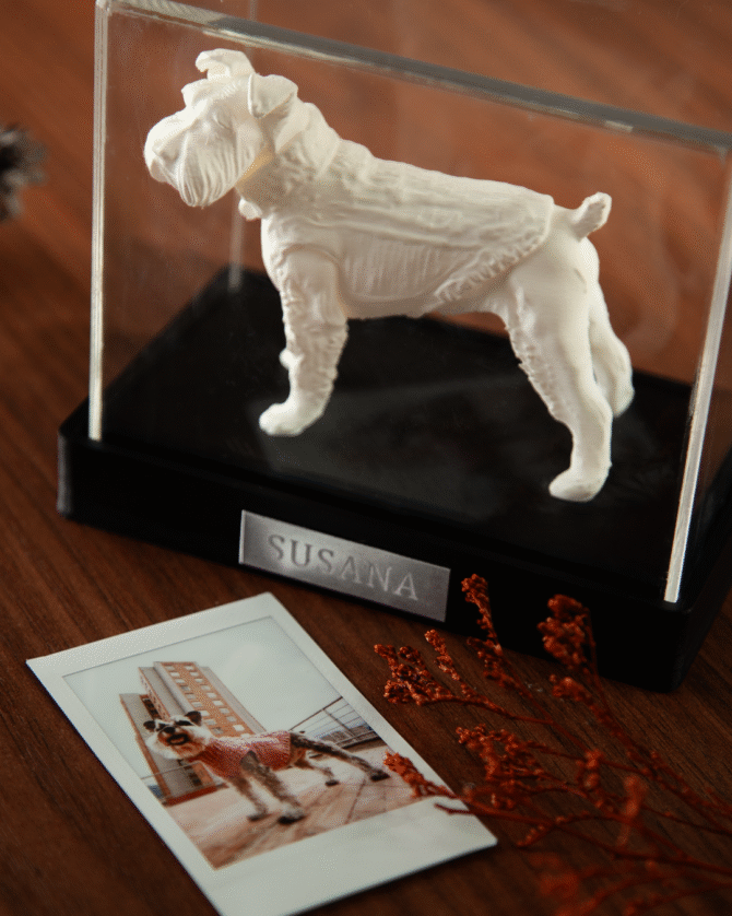 Ref. Estatuilla personalizada - Imagen 4