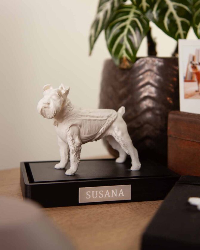 Ref. Estatuilla personalizada - Imagen 5
