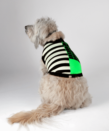 Saco tejido para mascota Ref. Spooky