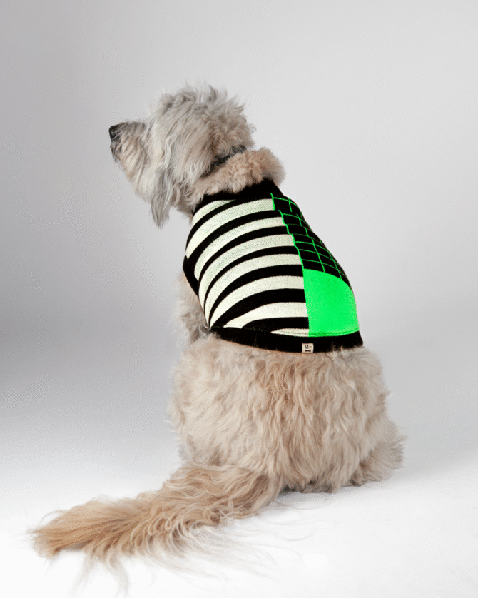Saco tejido para mascota Ref. Spooky